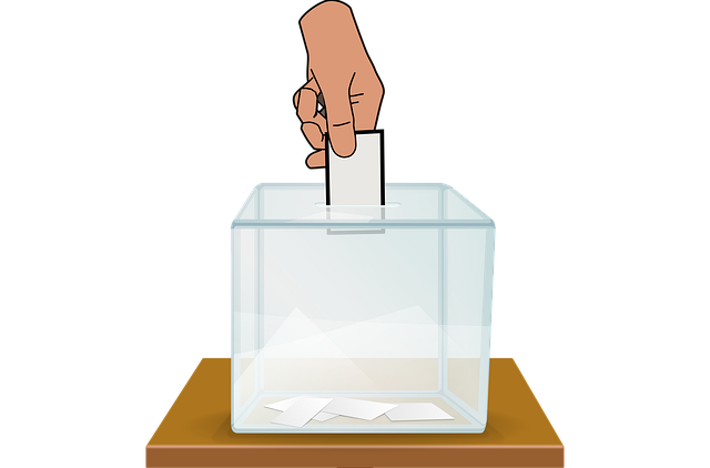 Izbori, ilustracija, foto: Pixabay