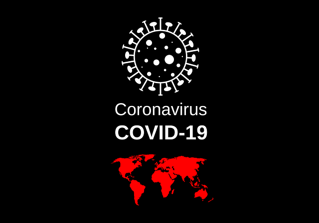 COVID-19, foto: Alexey Hulsov, preuzeto: Pixabay.com