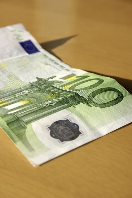 100 evra, foto: Pixabay.com