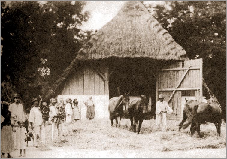 Vršidba konjima krajem 19. i početkom 20. veka, foto: ravnoplov.rs / M.S.
