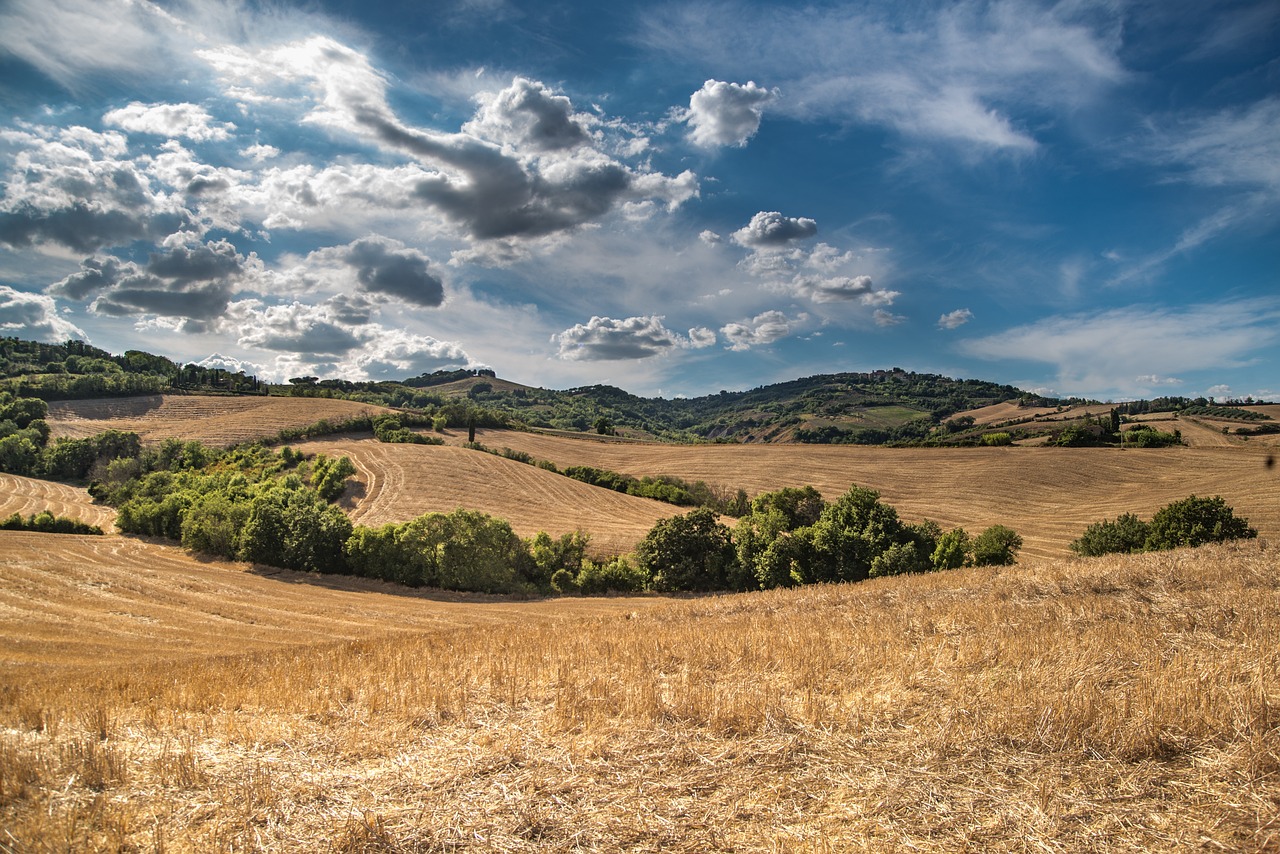 Njive, poljane, foto: pixabay.com
