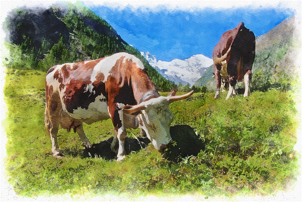 Šuštavac, ilustracija, krave na ispaši, foto: pixabay.com