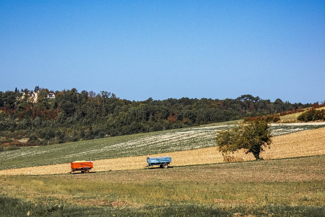 Poljoprivreda, foto: pixabay.com 