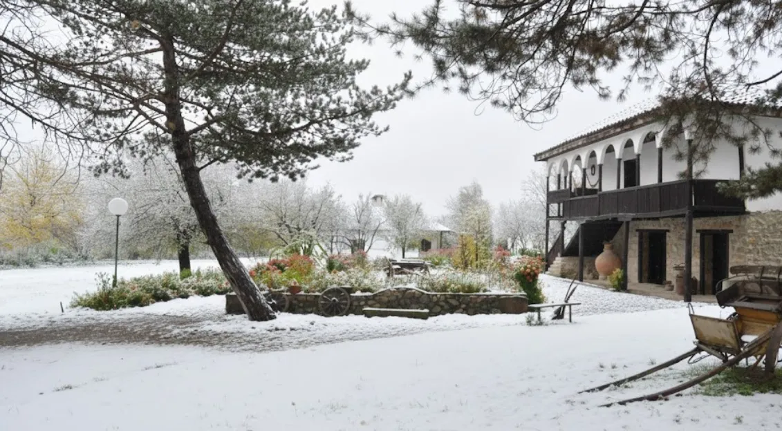 Ravna, foto: Knjaževačke novine