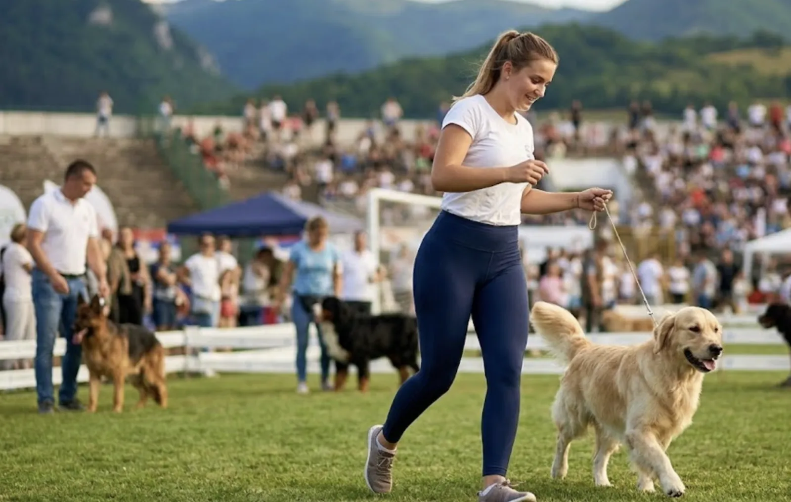 Izložba CAC 2026, foto: AI