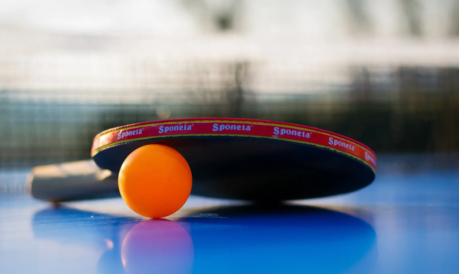 Stoni tenis, foto: pixabay